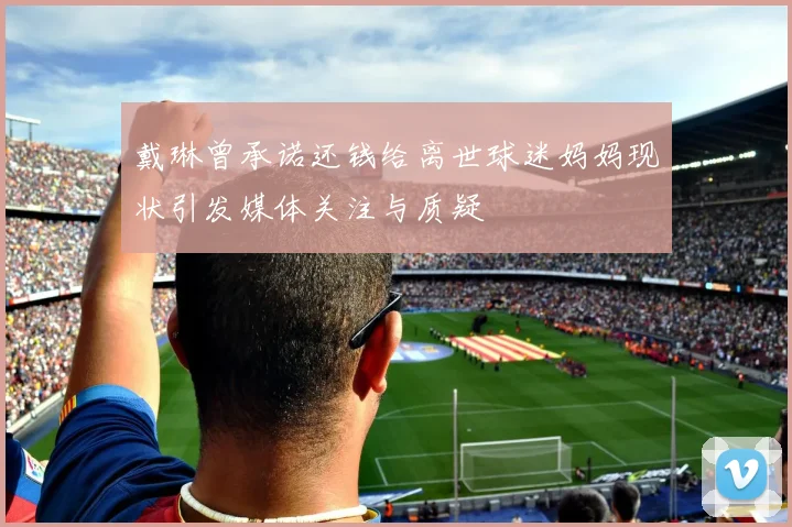 戴琳曾承诺还钱给离世球迷妈妈现状引发媒体关注与质疑